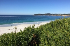 37. The Beach at Carmel