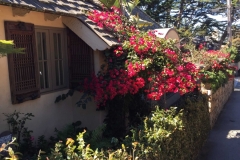 40. Lotsa flowers