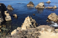 44. Beautiful seascapes