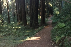 51. Hike in