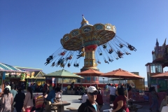 35. Wild rides